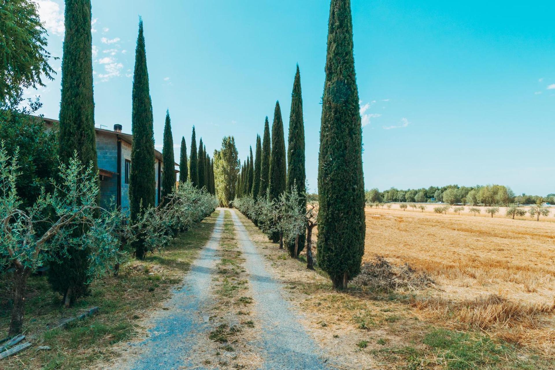 Agriturismo Il Borgo Cortona Exterior foto